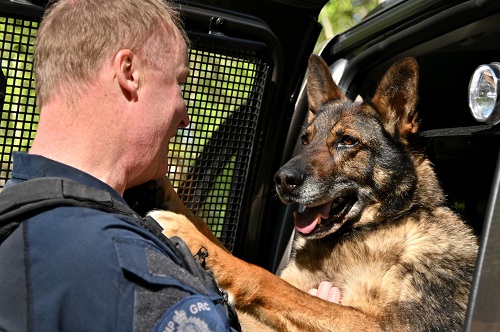 RCMP police service dog Eli is at the door of the police car and puts his paw on his human handler&rsquo;s chest. Eli is ready to work.
