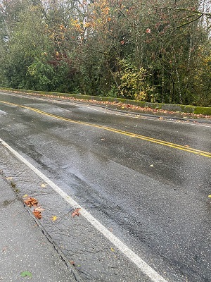 Picture of 40th avenue road