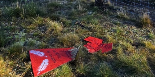 Broken Red Dress on road side