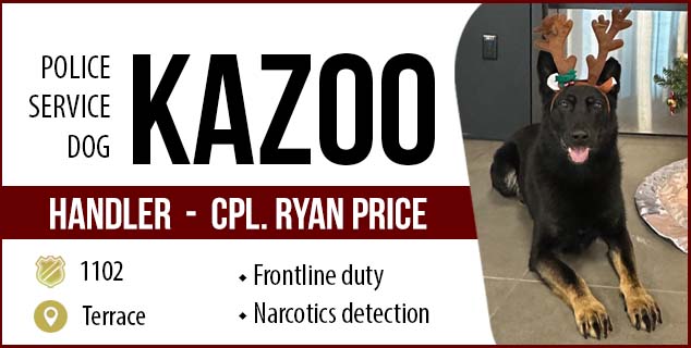 Police Service Dog - Kazoo