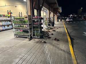 Damage to front of grocery store 