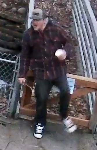 photo of male suspect