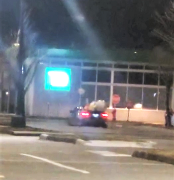 Photo of inflatable dinosaur on car