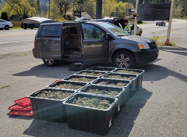 Ten storage containers full of cannabis sit in front of a minivan while BC Highway Patrol officers investigate. The driver was arrested and faces Cannabis Act charges