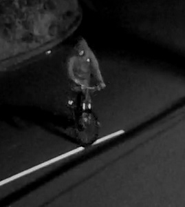 Vue de face d&rsquo;une personne inconnue &agrave; v&eacute;lo