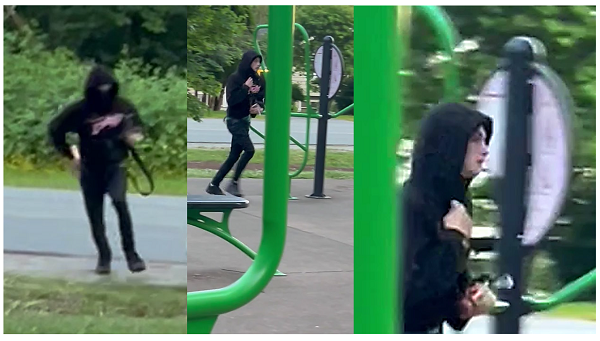 Photos of the offender