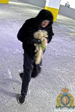 CCTV image of Suspect 2, described as a Caucasian male with a slender build, wearing a long blonde wig, black hoodie, and dark blue pants.