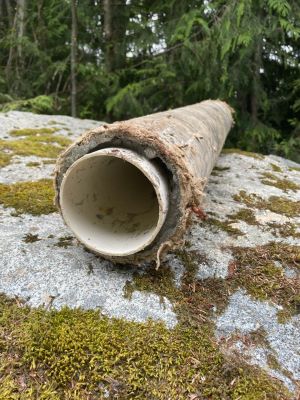 Photo of pipe in a log.