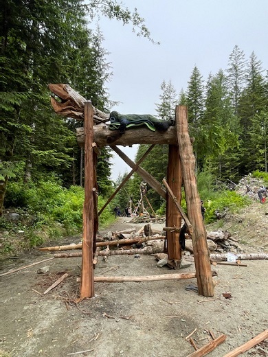 man on wooden structure
