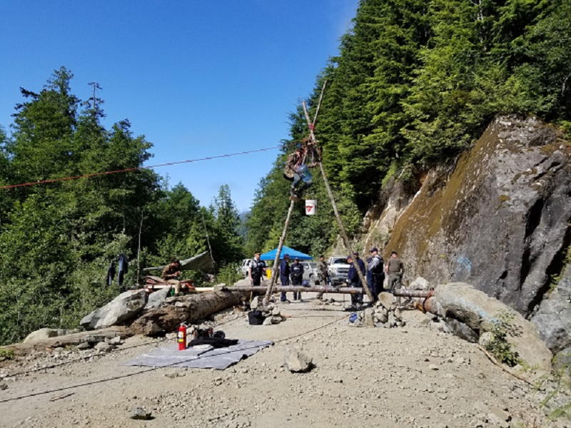 Individual attached to a tree structure, partially hanging over a bridge