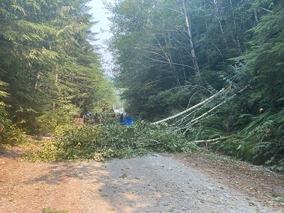 Photo d&rsquo;arbres coup&eacute;s en travers de la route