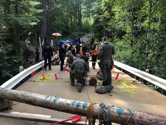 Photo of log on bridge