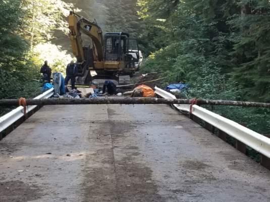 Image of log across bridge