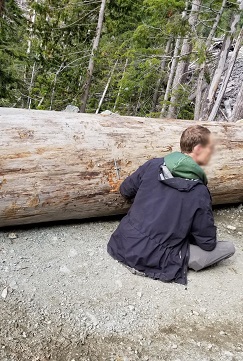 Image of an individual locked in a tree stump with nails