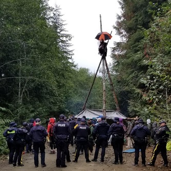 Image of individual perched atop a tripod