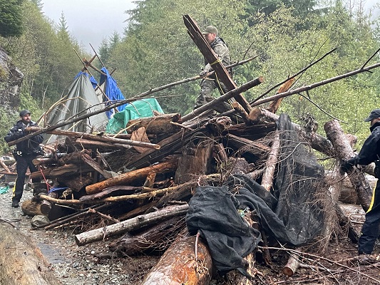 Photo of beaver dam like structure