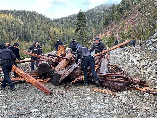 Photo de la pile de tron&ccedil;ons