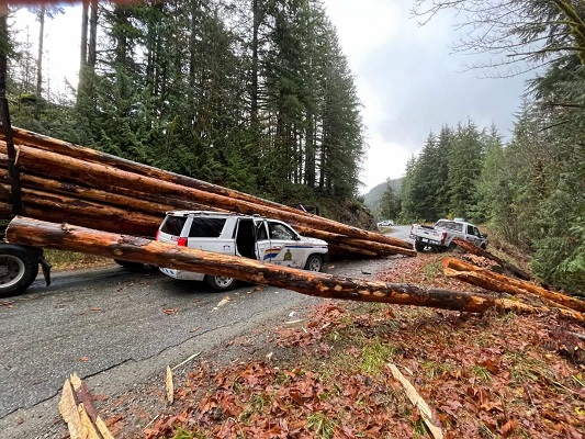 Photo of logging truck collision with police car