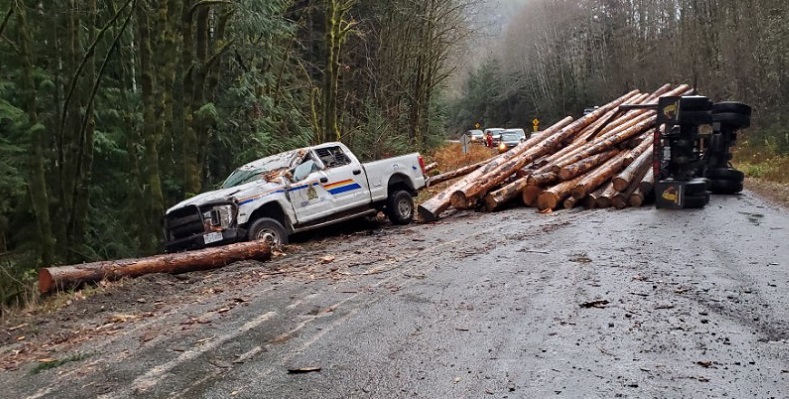 Photo of police car struck by logs from logging truck