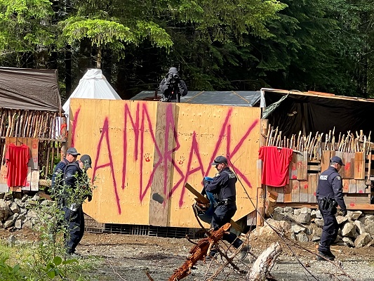 Photo of police officers at the entrance of the protest camp on the forestry road