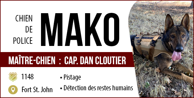 Le chien de police Mako est sur une pelouse et a la langue sortie. Il porte son gilet de police brun et havane.