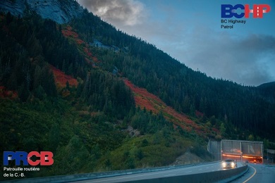 Photo de feuillage d&rsquo;automne  