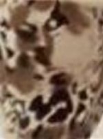 Motif abstrait aux couleurs neutres